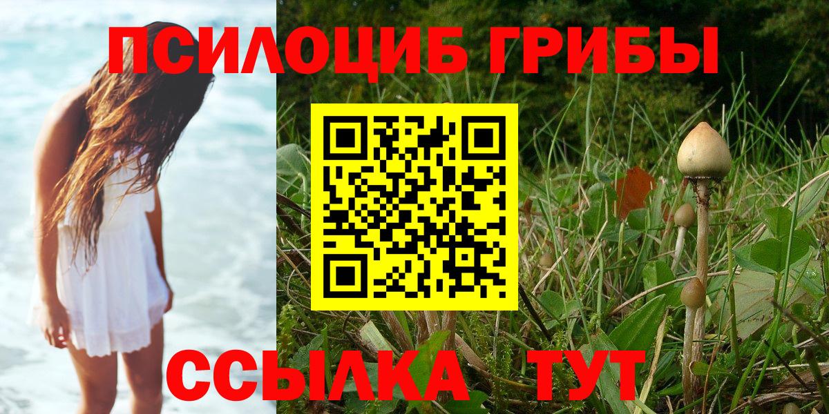 Галлюциногенные грибы мицелий  Псилоцибиновые грибы Cubensis  Урус-Мартан  Вход с VPN 