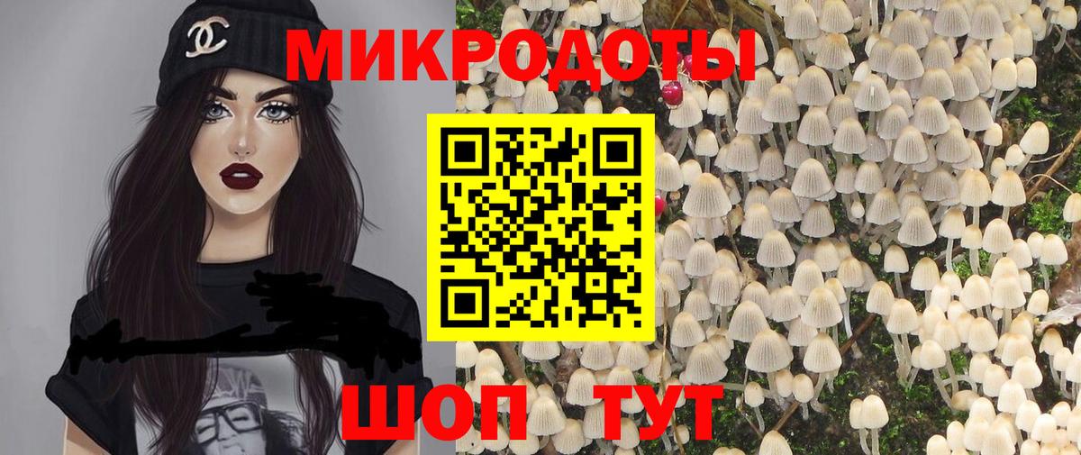 Псилоцибиновые грибы Cubensis Урус-Мартан